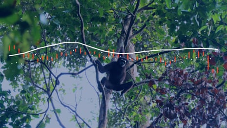 Mambang performs a solo during morning rush hour at Bukit Pelindung – audio