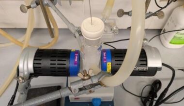 Simple technique makes it easier to access and exploit hydrogen radicals | Research