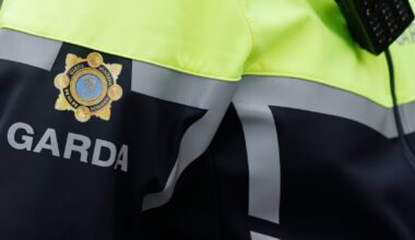 Garda to be tried over alleged assault in Dublin city – The Irish Times