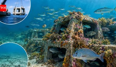 Western Australia sank 60 ten-tonne concrete fish boxes across two artificial reefs; three years later more than 60 fish species were recorded, up from about 12