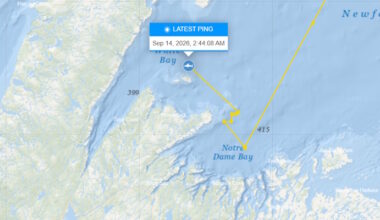 'Contender', Ocearch's Largest Tagged Shark, Tracked in NL Waters