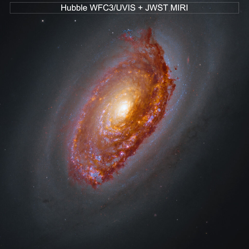 Hubble and JWST image of M64. A massive spiral galaxy glows with a yellow core, surrounded by arms full of orange-brown dust and pink and blue patches of star formation. Framed by a haze of dark dust, the galaxy shines against black space dotted with a few stars.