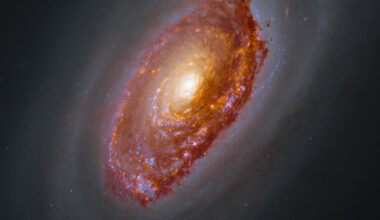 Hubble and JWST image of M64. A massive spiral galaxy glows with a yellow core, surrounded by arms full of orange-brown dust and pink and blue patches of star formation. Framed by a haze of dark dust, the galaxy shines against black space dotted with a few stars.