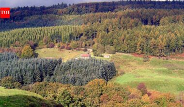 Britain released two beavers into a 10-hectare forest; 5 years later, peak water flow fell 46.6% and baseflow rose by 417% |