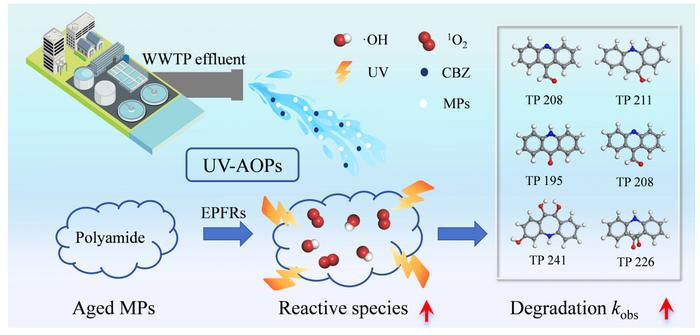 Oxidant-dependent carbamazepine transformation: how aged microplastics modulate degradation pathways in UV-AOPs