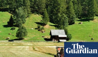 Microplastics in soil pose global threat by acting like ‘Trojan horse’ to deliver toxins | Plastics