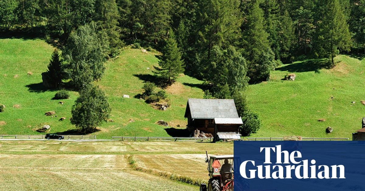 Microplastics in soil pose global threat by acting like ‘Trojan horse’ to deliver toxins | Plastics