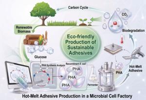 KAIST develops microbially produced adhesive materials from glucose instead of petroleum