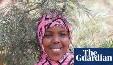 ‘I see them like my own children’: reforesting Ethiopia with 50bn trees, one step at a time | Global development