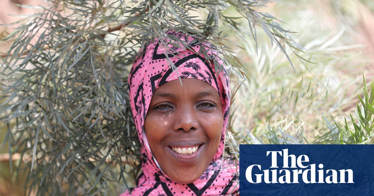 ‘I see them like my own children’: reforesting Ethiopia with 50bn trees, one step at a time | Global development