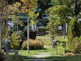 Daylight comparison, telephoto camera (10x): Pixel 11 Pro - 241mm, f/2.8, ISO 43, 1/495s (4080x3064px) - News 26 09 Google Pixel 11 Pro vs. 10 Pro review