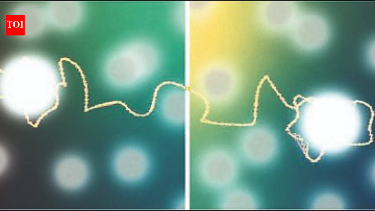One precisely timed flip may make quantum information safe: Study