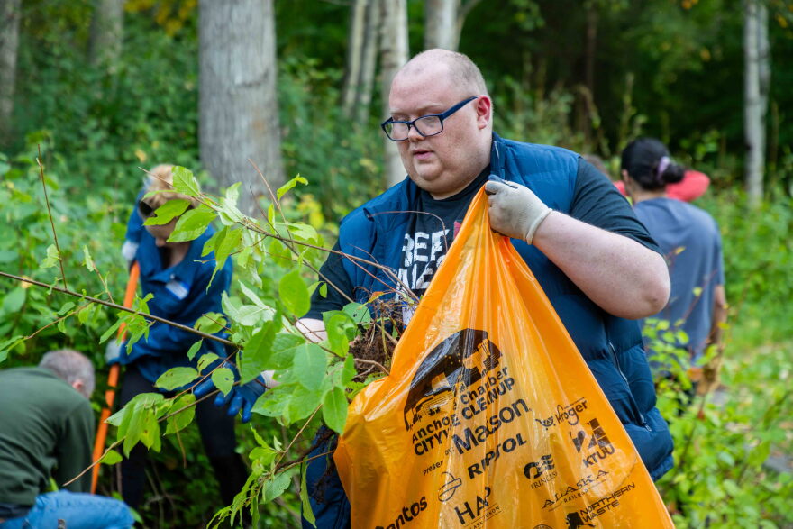 Bridger Reed-Lewis puts fills a garbage bag at a singles mixer/invasive plant pull in Tikishla Park in Anchorage's Airport Heights neighborhood on September 14, 2026.