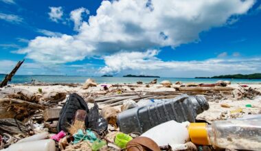 Tonnes of fishing gear and plastic are washing up on Seychelles beaches. We tracked where it was coming from