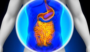 Medical X Ray Scan Human Guts Digestive System Crop
