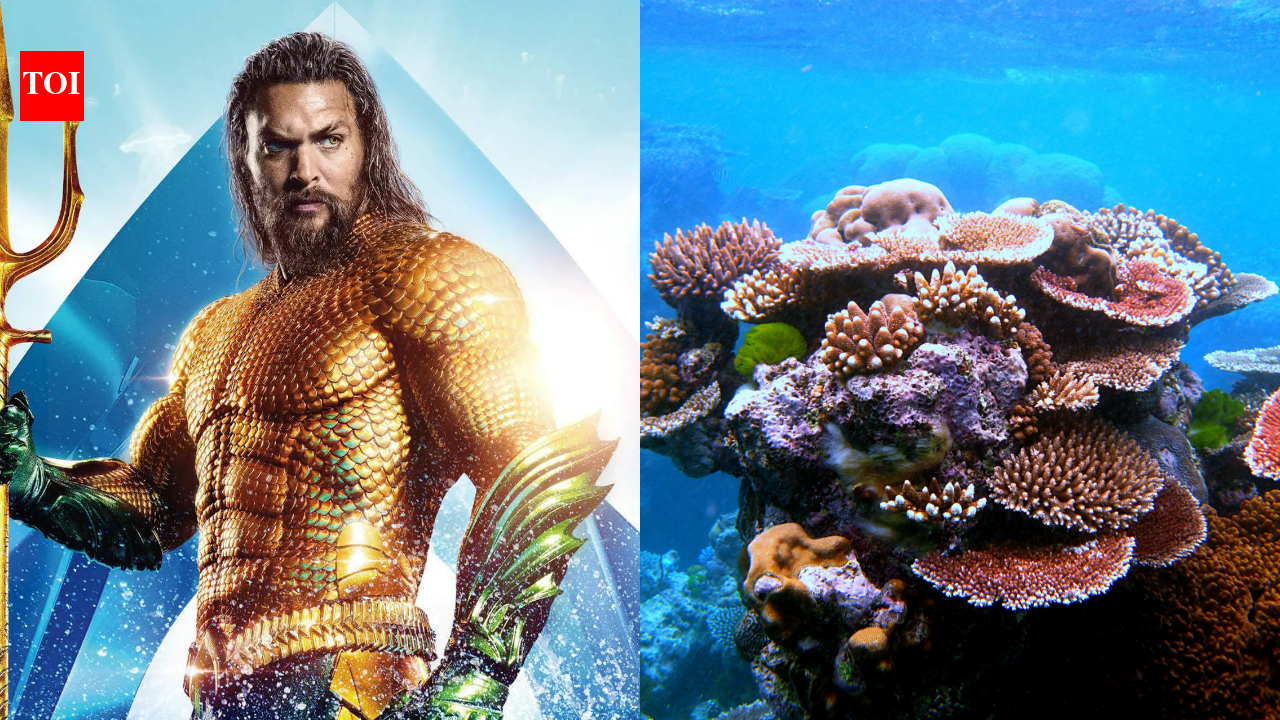 Jason Momoa raises alarm over coral reefs nearing extinction; scientists report world's most widespread bleaching event |