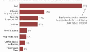 Beef production has been the largest driver of deforestation this century