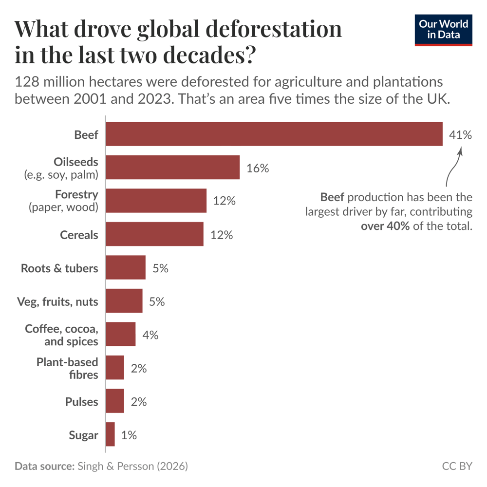 Beef production has been the largest driver of deforestation this century