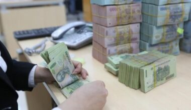 Việt Nam establishes $190m State-owned asset management company