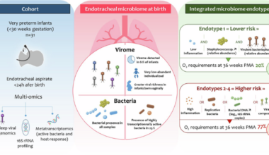 Endotracheal virome and metatranscriptome of preterm neonates at birth in relation with progression to bronchopulmonary dysplasia