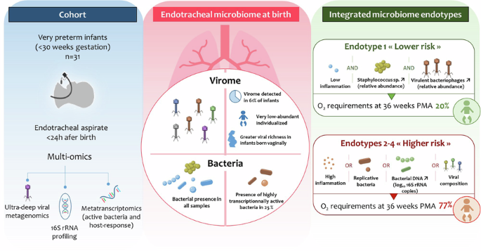 Endotracheal virome and metatranscriptome of preterm neonates at birth in relation with progression to bronchopulmonary dysplasia