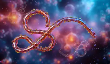 A deadly ebola relative is surging after years in the shadows