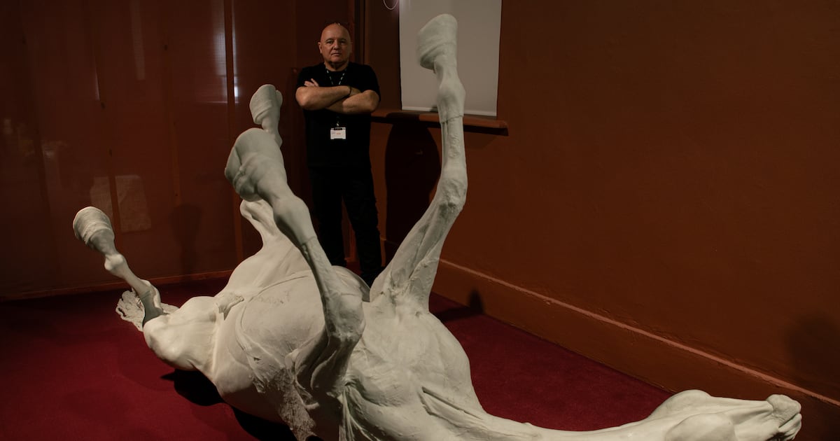 Ireland’s museum and gallery staff reveal their favourite exhibits: ‘This is the best job I have ever had’ – The Irish Times