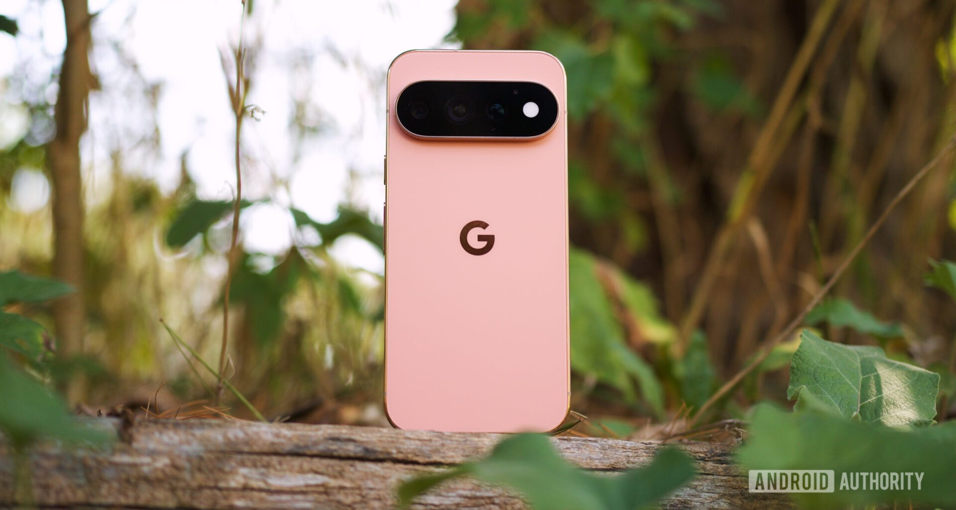 Canyon Pixel 11 Pro standing upright outside.