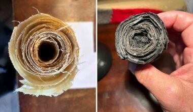 Papyrus Scroll Before and After Carbonization