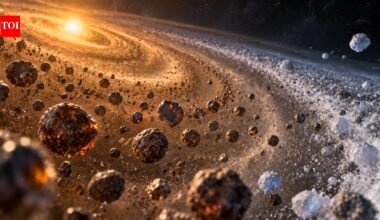 Early Solar System space rocks had up to 92% rocky chondrules as natural sorting separated them from ice-rich dust; new study finds |