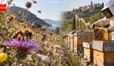 Wild honeybee populations in Europe could decline by 56% in 10 years without swarms from managed hives; study finds |