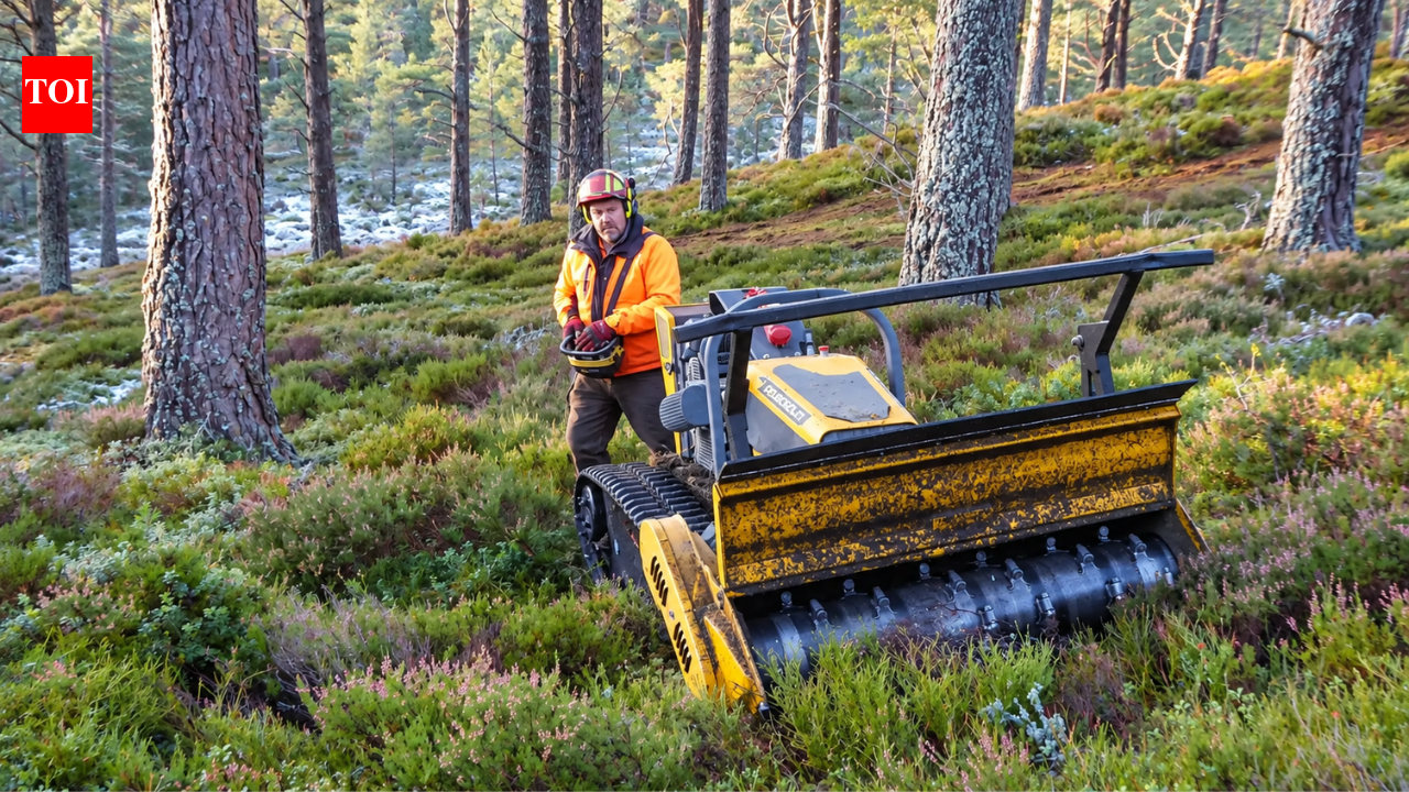 Scotland restored more than 3,500 hectares across 11 wildlife reserves; robot mowers and virtual fences helped threatened species recover |