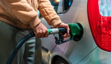 Chambers hints fuel excise cuts to be extended in Budget