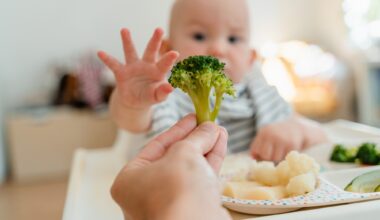 First foods bring an early functional shift in the infant gut microbiome