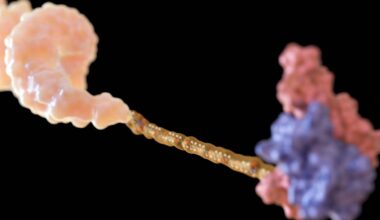 Advances in chemistry and delivery are taking oligonucleotide medicines beyond rare diseases