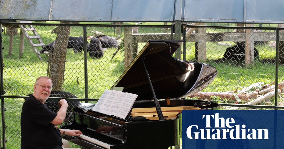 Rick Wakeman performs piano concert to 150 rescued moon bears in Vietnam | Animal welfare