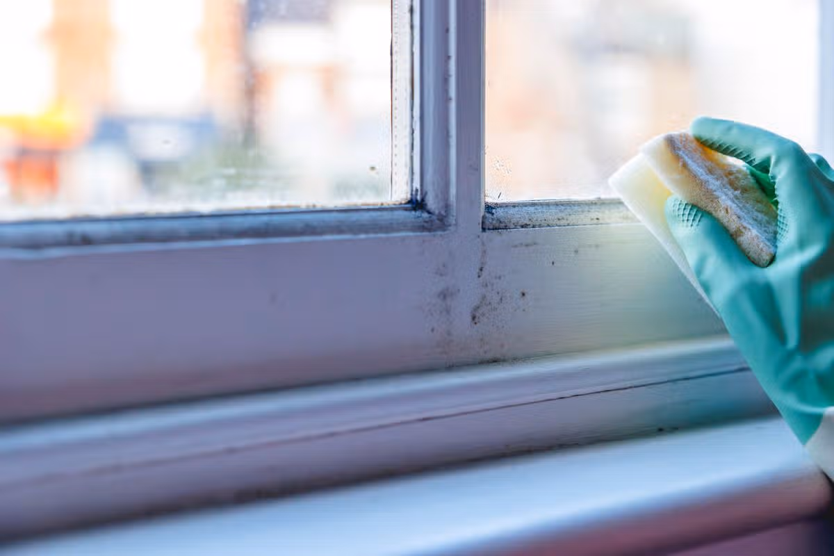 A hand in a rubber glove is going to clean a window frame off mould with a sponge
