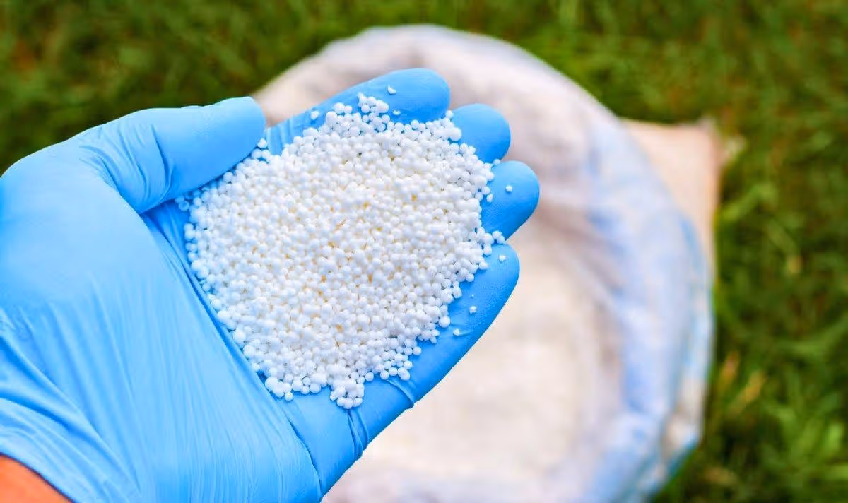 Picture of someone throwing granules on a lawn