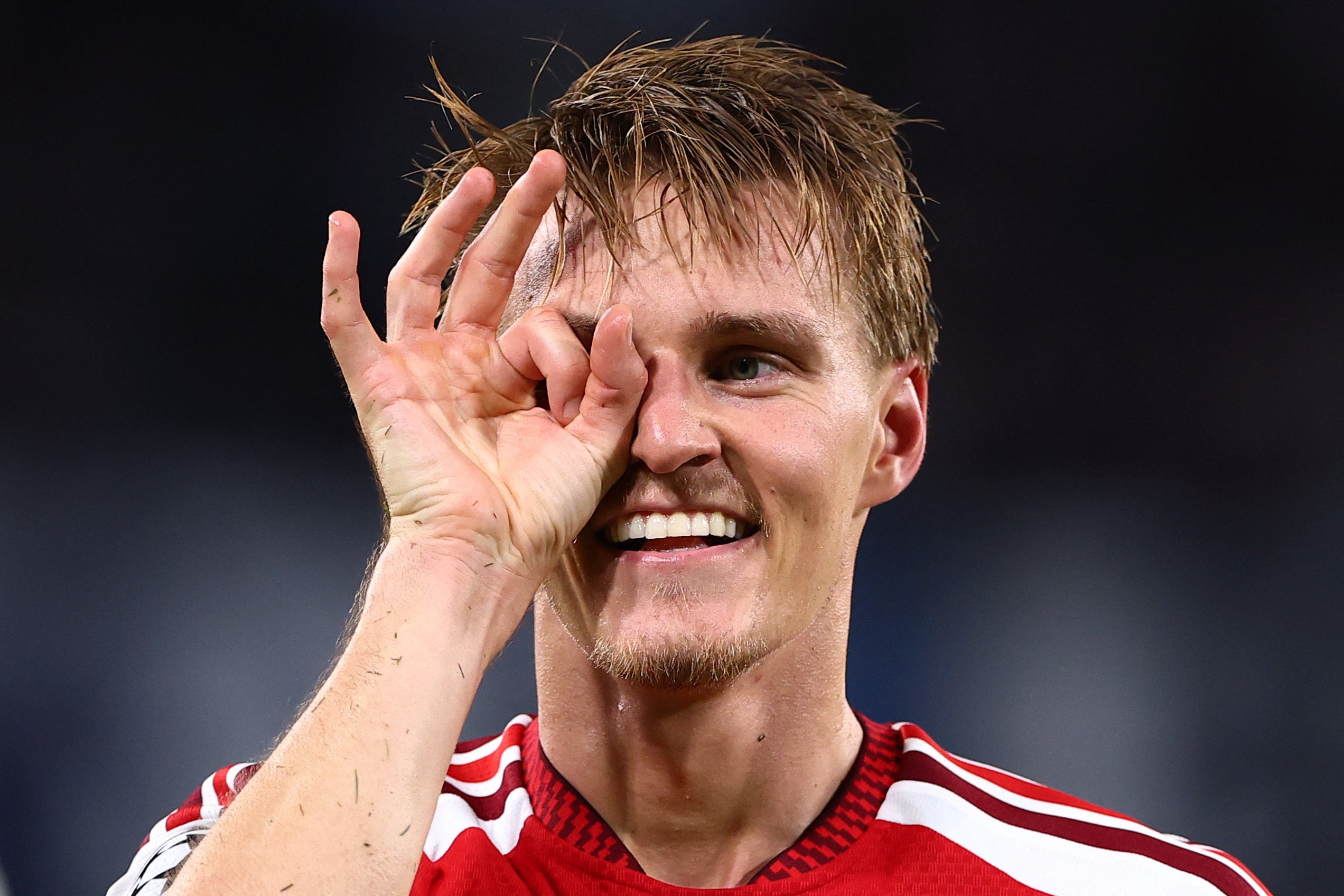 Martin Odegaard scored the only goal to cement his increasing importance to Arsenal