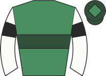 Horse silk