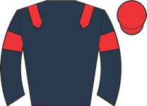 Horse silk