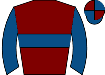 Horse silk