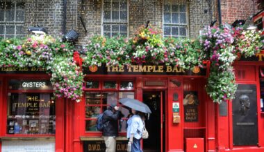 Owner of one of Ireland’s best-known pubs sees profits near €10m in 2025 – The Irish Times
