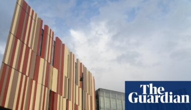 AI chatbot helps teach online-only psychology classes at Macquarie University | AI (artificial intelligence)