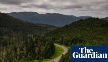 Forest Service chief faces scrutiny over logging ties as Trump plans to scrap protections | Logging and land-clearing