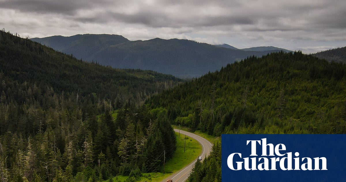 Forest Service chief faces scrutiny over logging ties as Trump plans to scrap protections | Logging and land-clearing