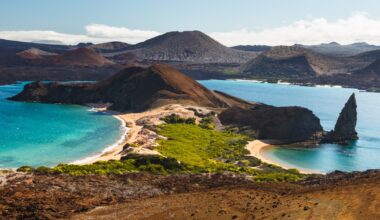 A stronger-than-normal El Nino alarms scientists over Galápagos wildlife