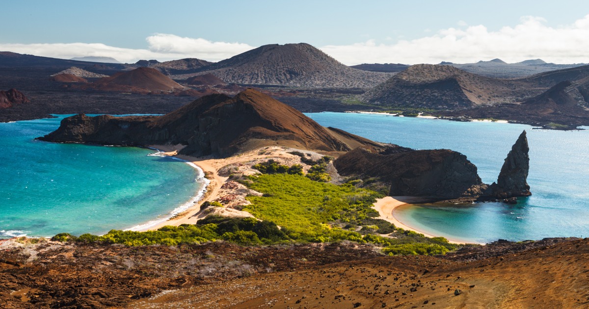 A stronger-than-normal El Nino alarms scientists over Galápagos wildlife