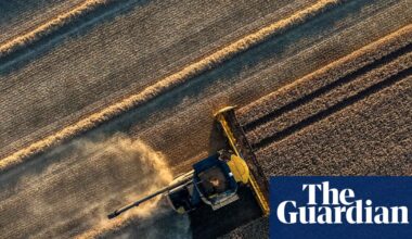 Weatherwatch: soil moisture deficit – how dry are the UK’s thirsty soils? | Soil