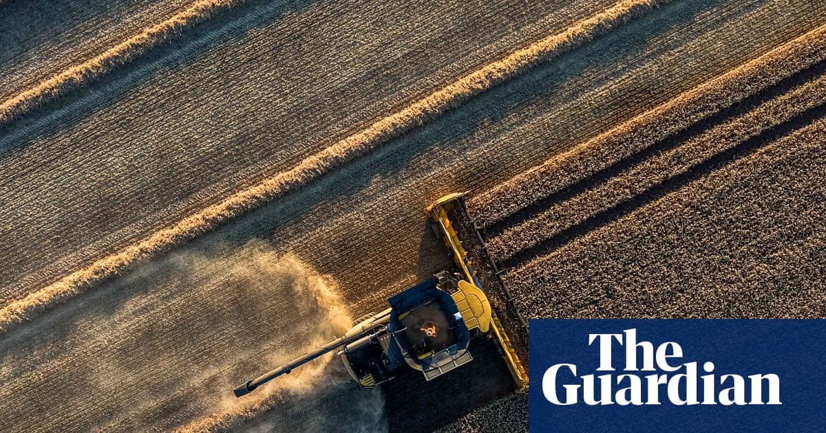 Weatherwatch: soil moisture deficit – how dry are the UK’s thirsty soils? | Soil